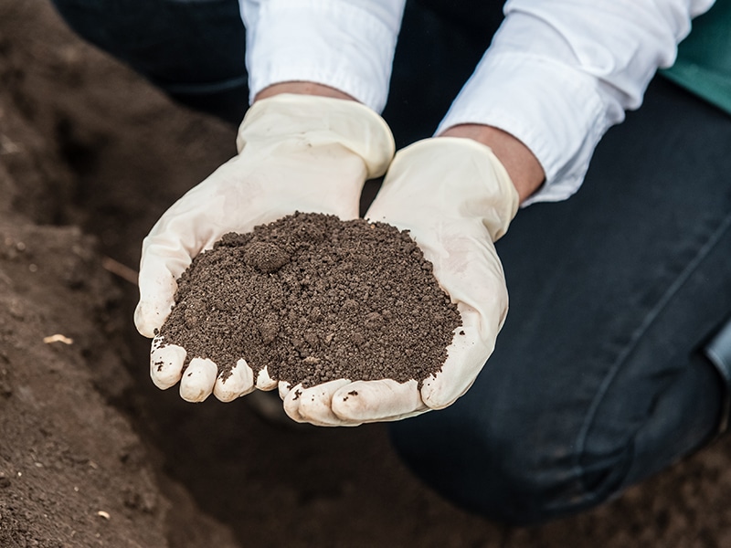 soil-remediation